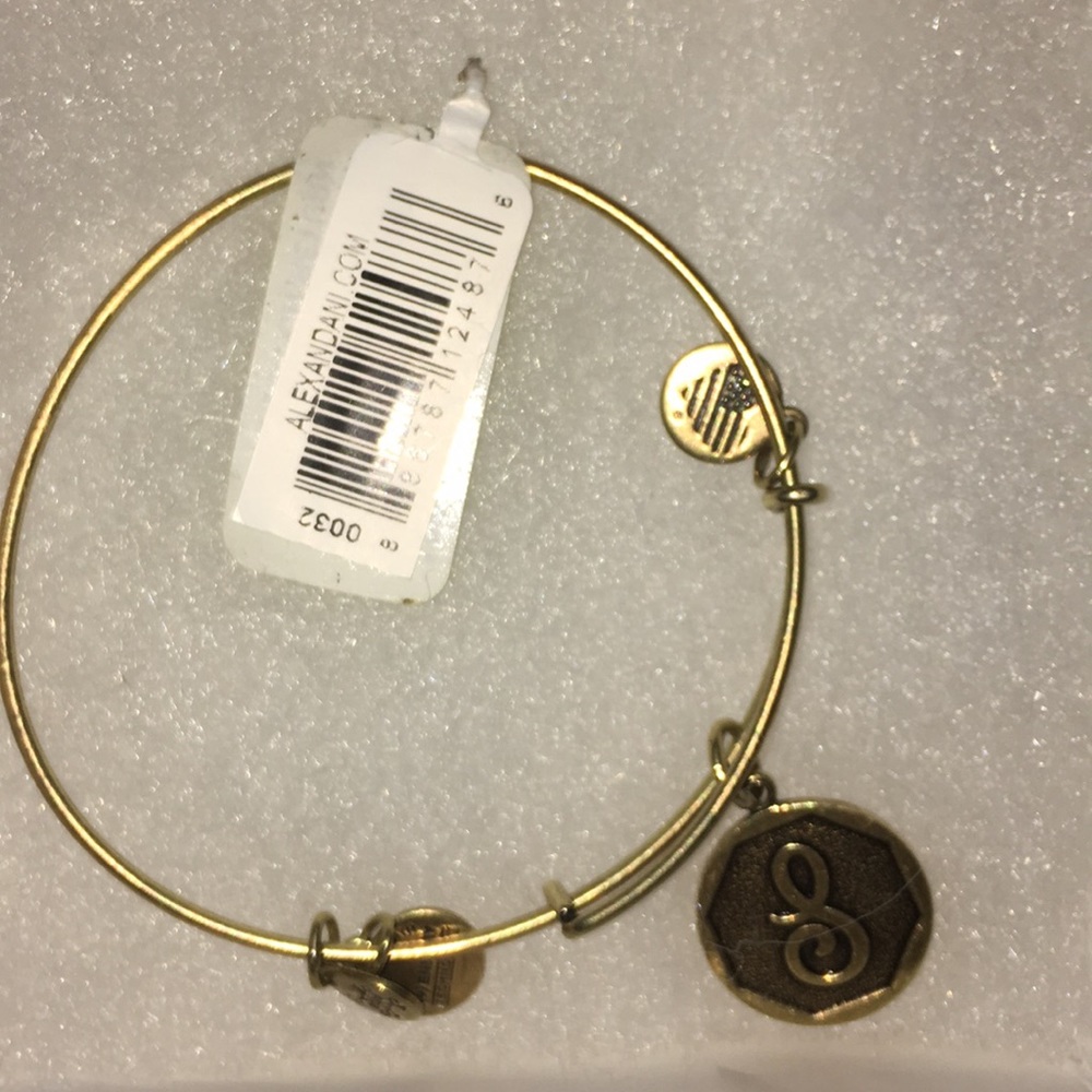 COPY - Alex and ani S charm bracelet